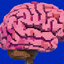 Brain powers logo