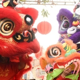Chinese New year project image