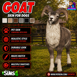 Goat skin by Jochi