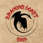 Dragons Coast SMP logo