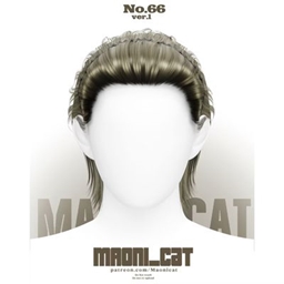 [Maoni_cat]HAIR No.66 ver.1 project image