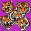 Roaring Tigers Rug Pack logo