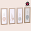 Tiny Seashell logo