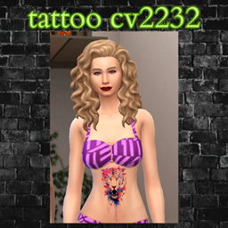 tattoo cv2232 project image