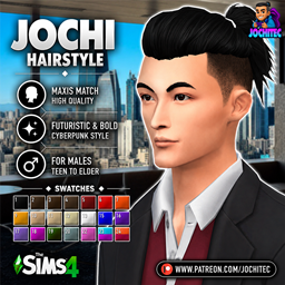 Jochi hairstyle project image