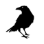 The Fool logo