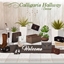 Calligaris Decor 🛍️ logo