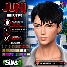 Juni hairstyle by Jochi project image