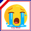 Cry mod par Simkatu | Traduction FR logo