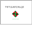 TETsaForge logo
