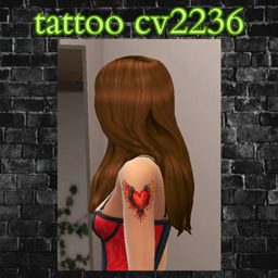 tattoo cv2236 project image