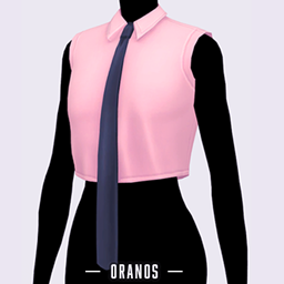District 12 - Crop Shirt [Female] logo