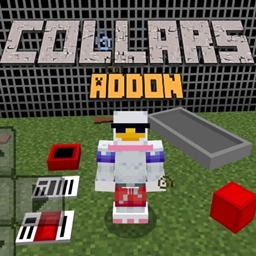 Collars project image