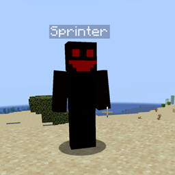 The sprinter project image
