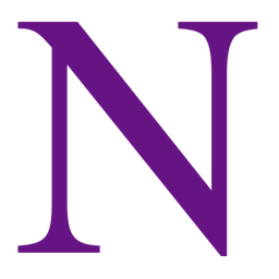 NanoN logo