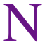NanoN logo