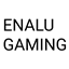 EnaluGaming logo