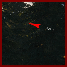 Hawg's  Arrow Damage Indicator