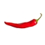 Spice Of Life logo