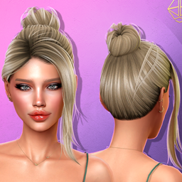 Aurum - Nouria updo bun project image