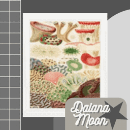 Coral Reef Paintings project image