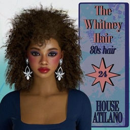 The "Whitney" Hair | A 1980s Inspired Women's Hairstyle #24 logo