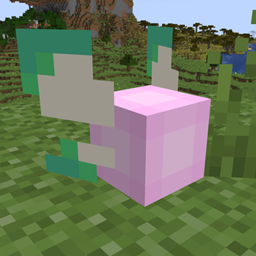 Paxo's Pink Fairy
