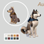 Autumn Days - Big & Little Dog Bandanas logo