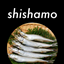ShishamoTech logo