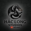 🇻🇳Chunk Loader Vanilla Dungeons Sever logo