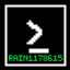 Rain's Auction House logo