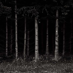 Footsteps