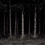 Footsteps logo