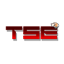 TSE logo