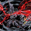 ASW-G-35 Gundam Marchosias logo