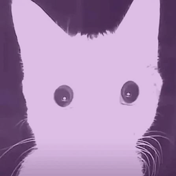 Cat Fashbang project image