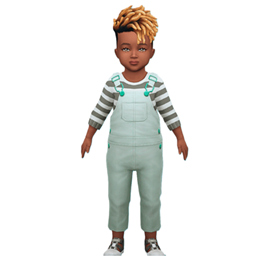 Toddler Demin Overalls project image