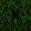 Reclaimed Creepers logo