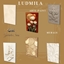 LUDMILA ARTE-PAINT logo