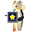 Kaleidoscope Doll Plus logo