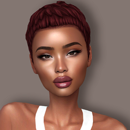 Venus Collection project image
