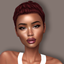 Venus Collection logo