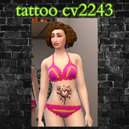 tattoo cv2243 project image