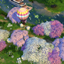 Fernanda's World - Save File logo