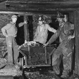 Underground Coal Miner Career project image