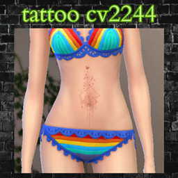 tattoo cv2244 project image