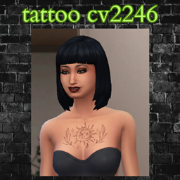 tattoo cv2246 project image