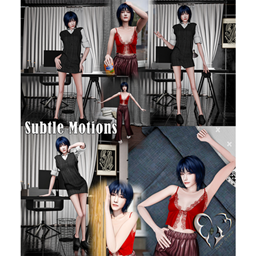 Subtle Motions project image