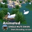 Animated - Single Mute Swan ~ Bird ~ Animal ~ Pet logo