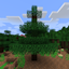 Nature Overhaul logo